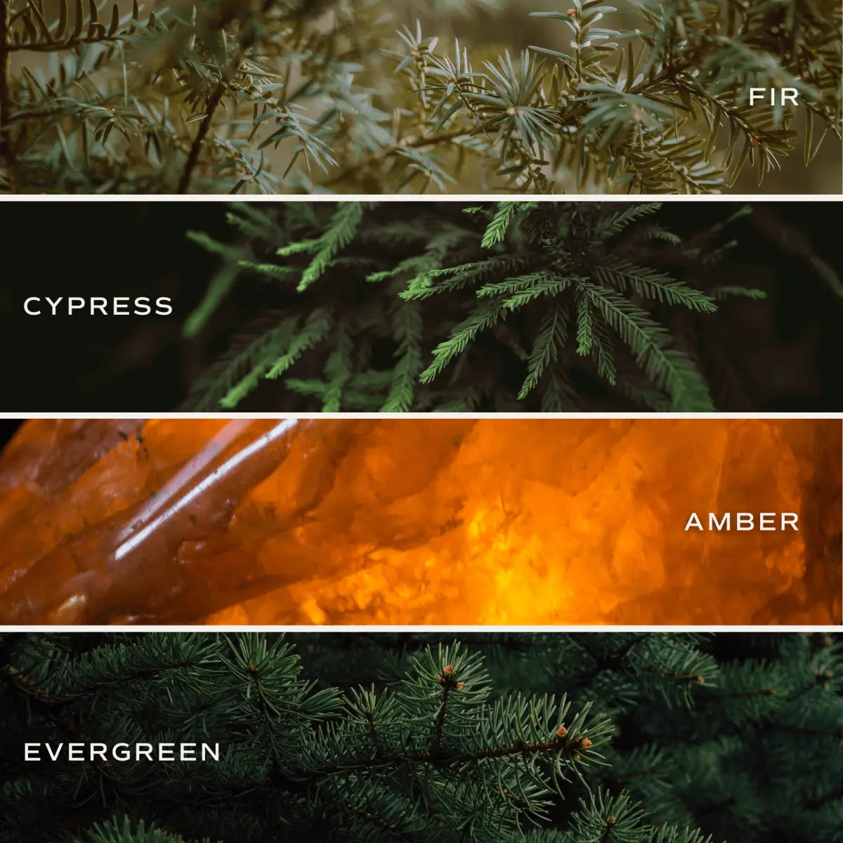 Fraser Fir Hanging Air Freshener - Sweet Water Decor
