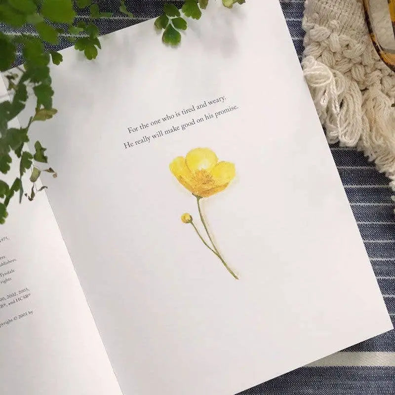 Freely & Lightly Devotional Book (illustrated signed copy) - emily lex studio