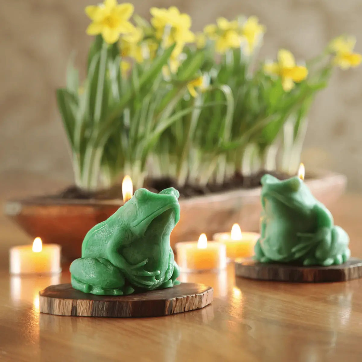 Frog Beeswax Candle - Big Dipper Wax Works