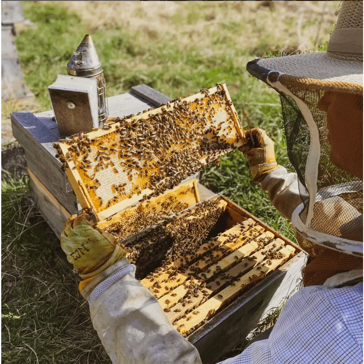 Ghost Candle - 100% Beeswax - Handmade - Messner Bee Farm