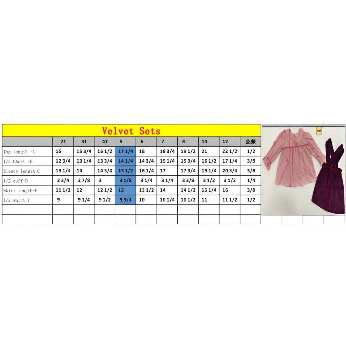 Girls 2pc Outfit - Velvet Floral Top & Skirt - 8 - Wren & James
