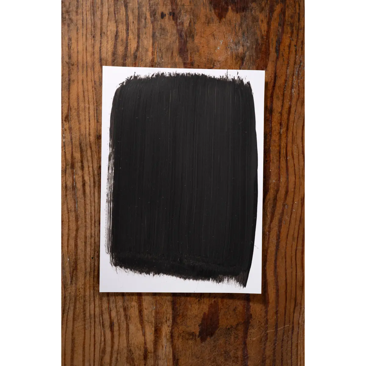 Girls Night Out - Manor Borne Wall Paint - Amy Howard At Home