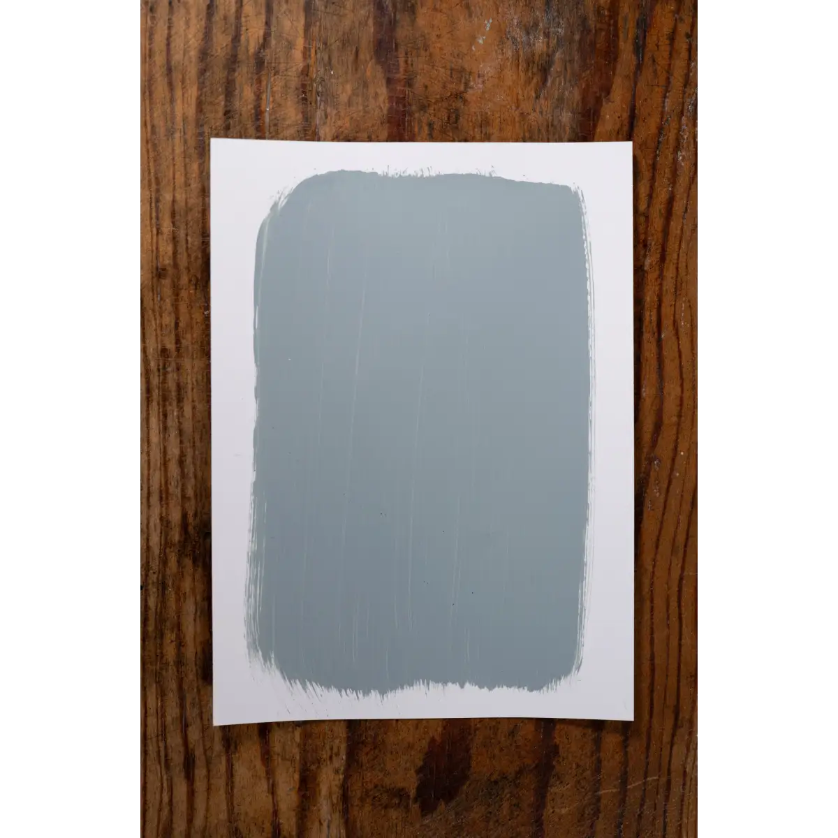 Glacier Grey - Manor Borne Wall Paint - Amy Howard At Home