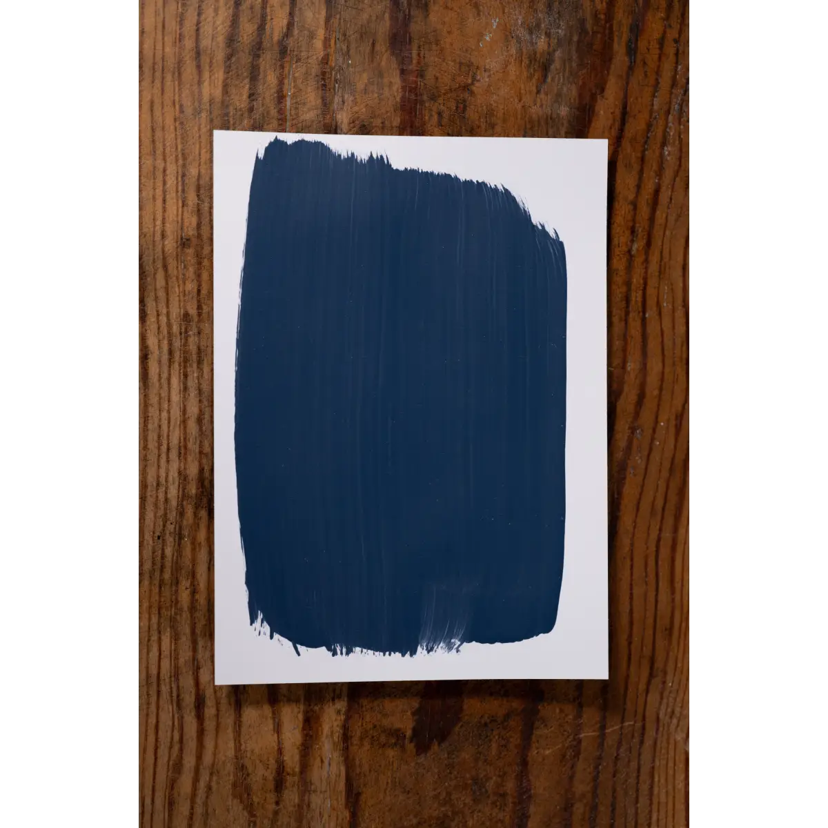 Go Ask Your Dad - Manor Borne Wall Paint - Amy Howard At Home