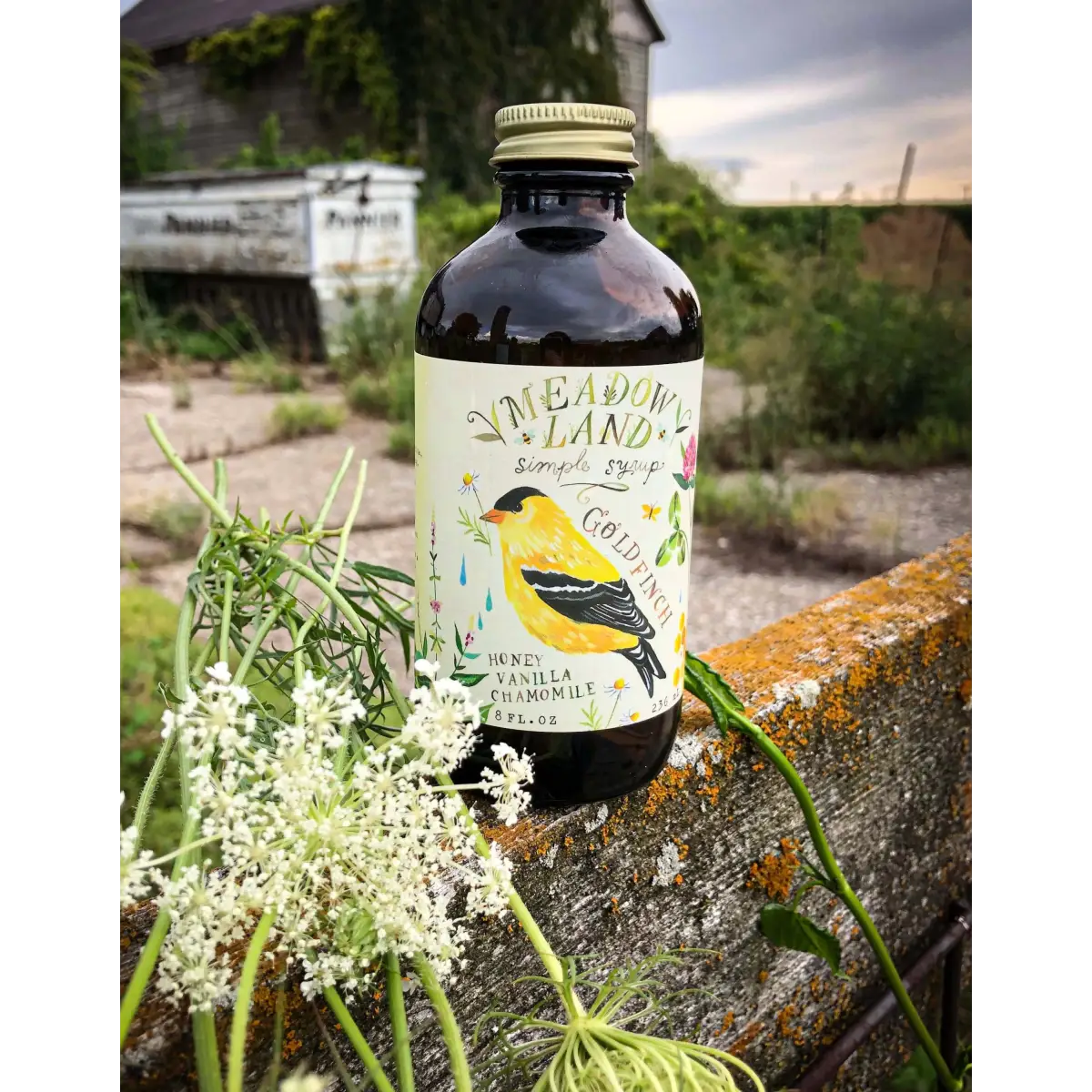 Goldfinch Simple Syrup - Honey Chamomile & Vanilla - Coffee or Cocktails - Meadowland Syrup