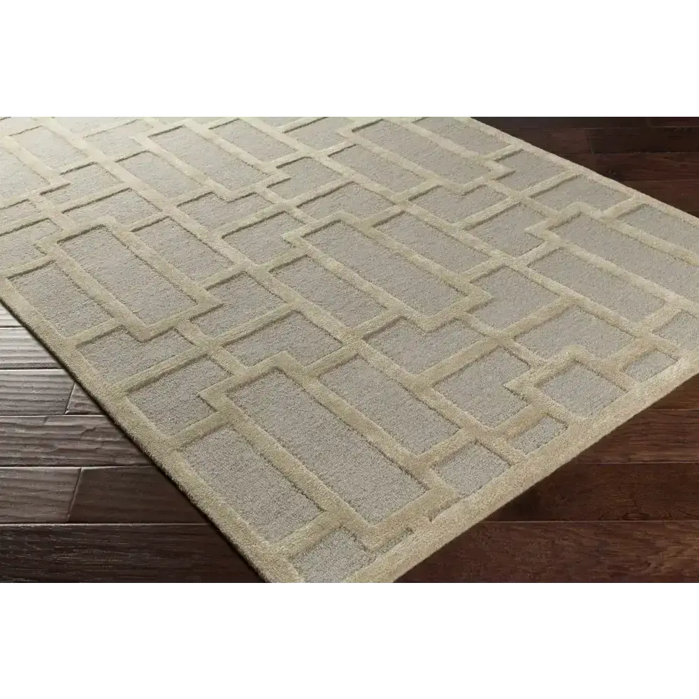 Gray Modern Area Rug - Boutique Rugs