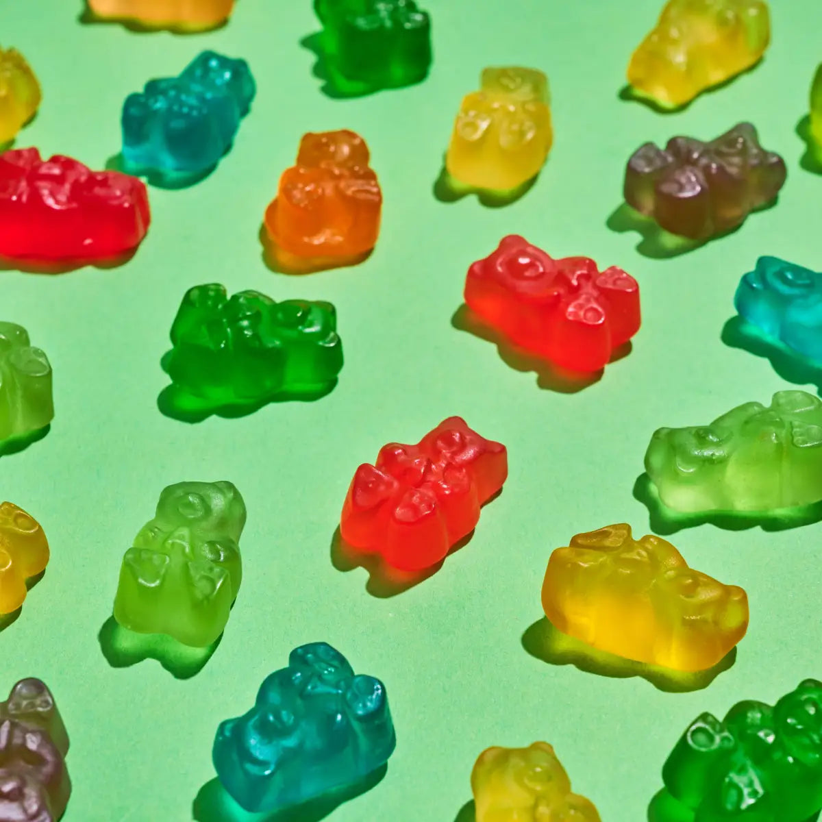 Gummi Candy - Everyday Gummy Bears - Hammond’s Candies / Lolli & Pops