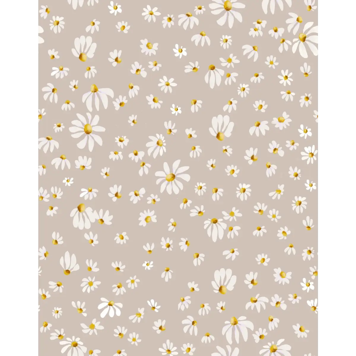 Gwen Wallpaper - White Daisies - Morgan Casteel - Sample 1 foot by 1 foot - Loomwell Home Goods