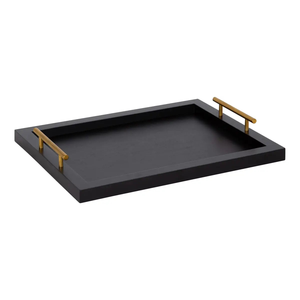 Halsey Rectangle Decorative Tray Organizer - Black / 13x17 - kateandlaurel