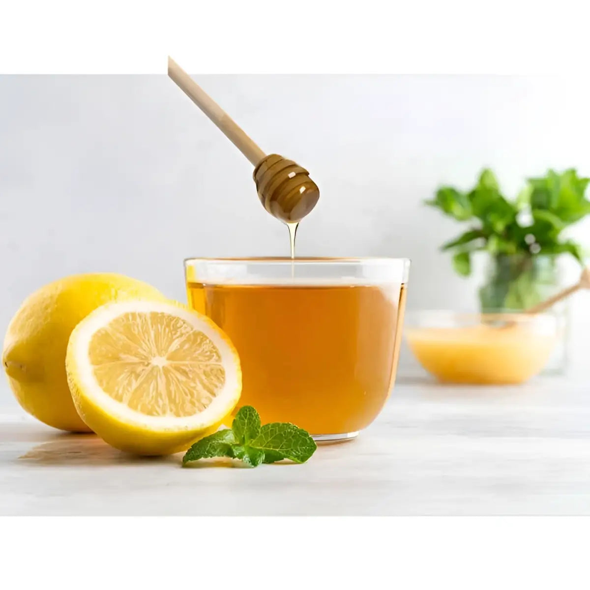 Glass Honey Jar with Lid and Honey Dipper - HIC - Harold Import Co.