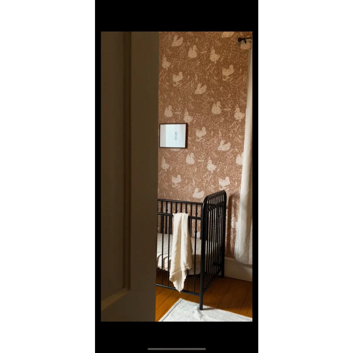Hollingworth Wallpaper - Ducks - by Aubrey Fairchild - Loomwell Home Goods