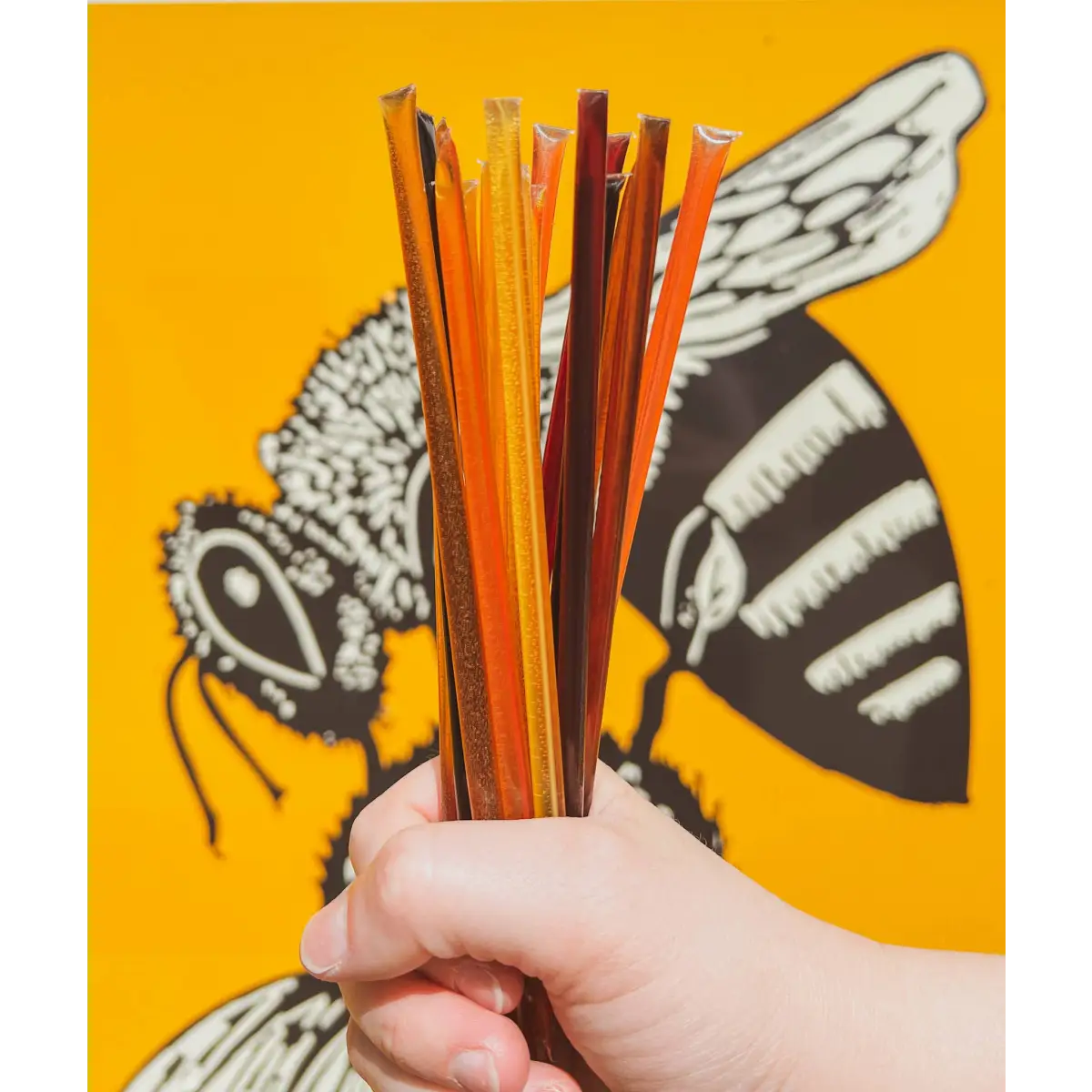 Honey Sticks - Variety Pack - Pack of 16 Flavored Honey - Messner Bee Farm
