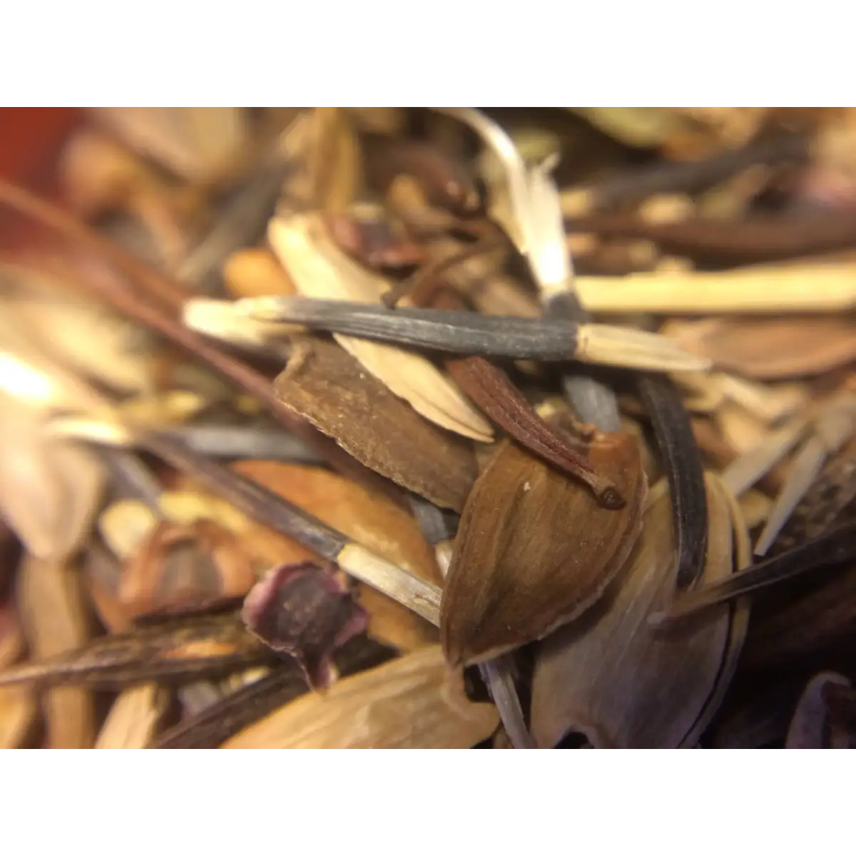 Honeybee Garden Wildflower Seeds - Messner Bee Farm