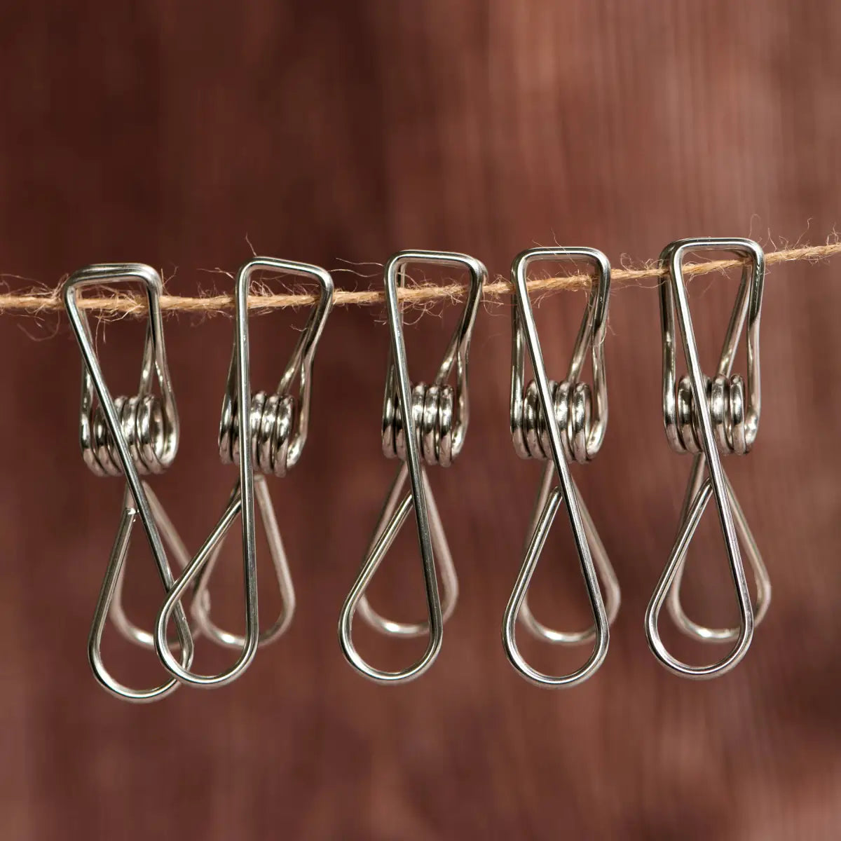 Household Clip - Stainless Steel - Clothing Clips - Desesh