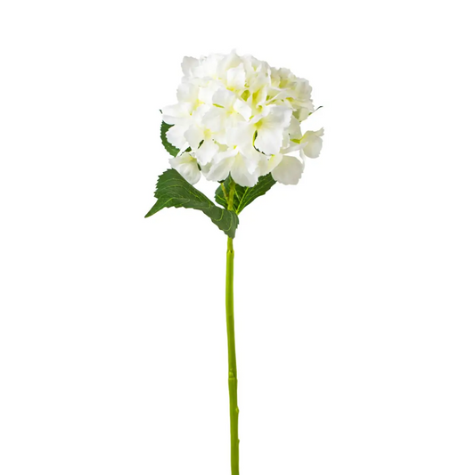 Hydrangea Stem - White - The Royal Standard