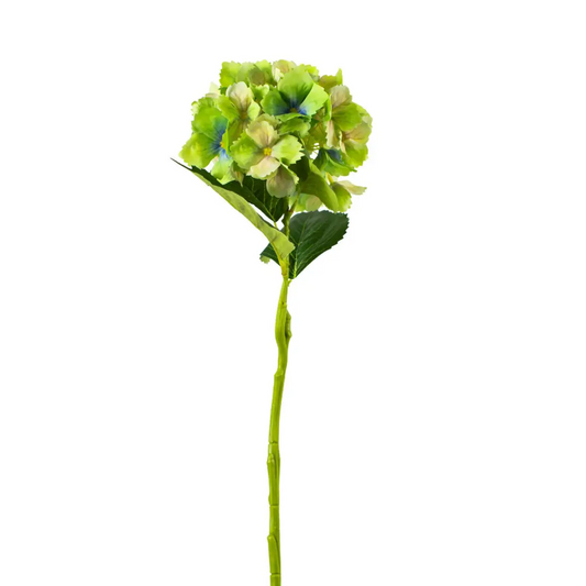 Hydrangea Stem - Green - The Royal Standard