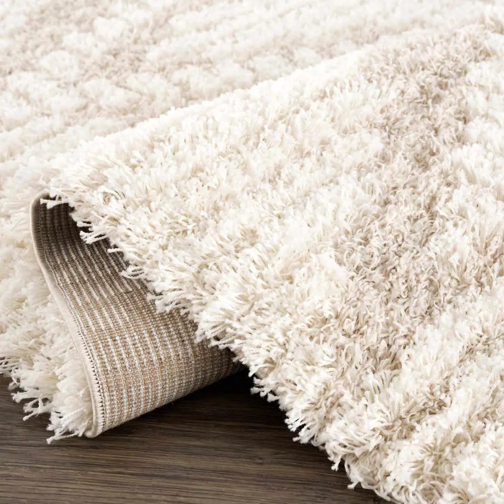 Igor Shag Area Rug - Boutique Rugs