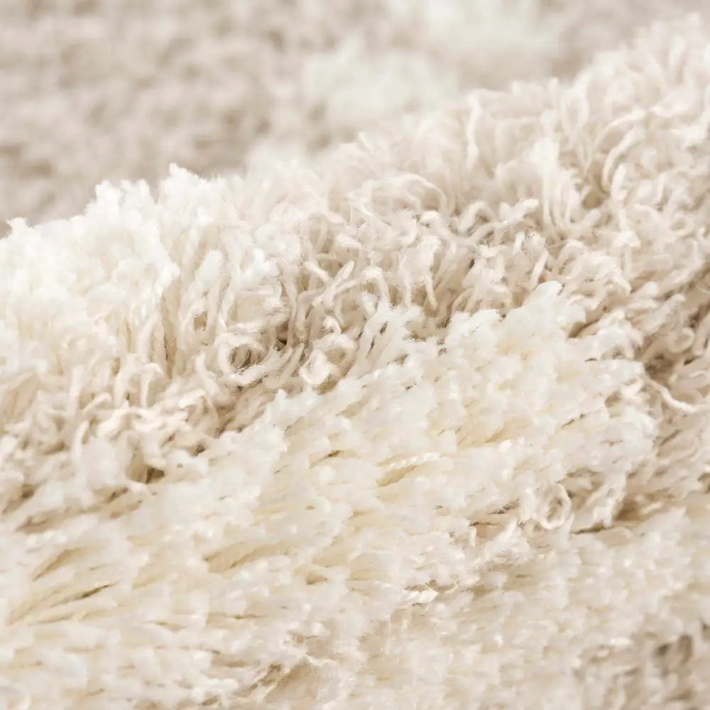 Igor Shag Area Rug - Boutique Rugs