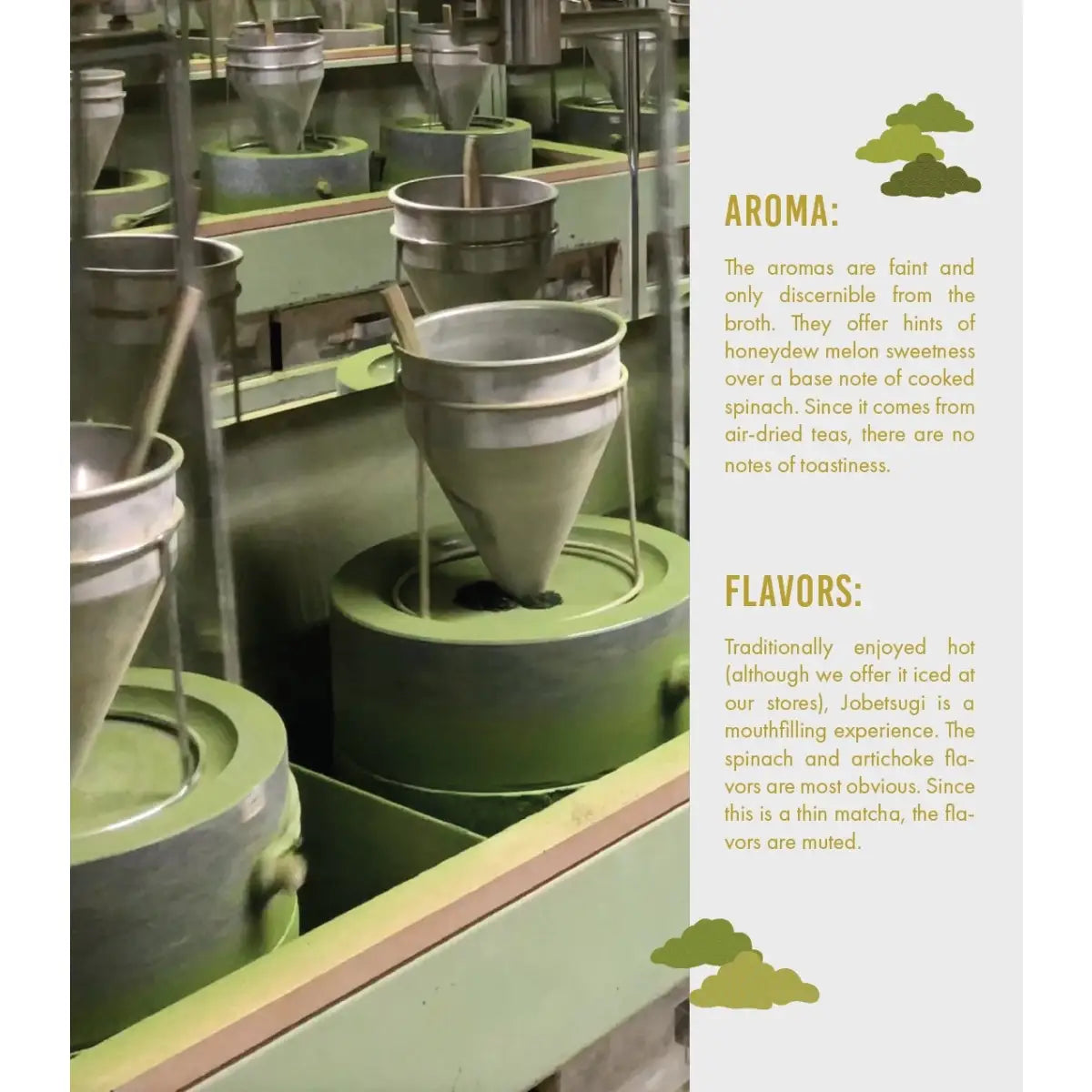 Jobetsugi Ceremonial Matcha - Thin Grade - Harney & Sons Fine Teas