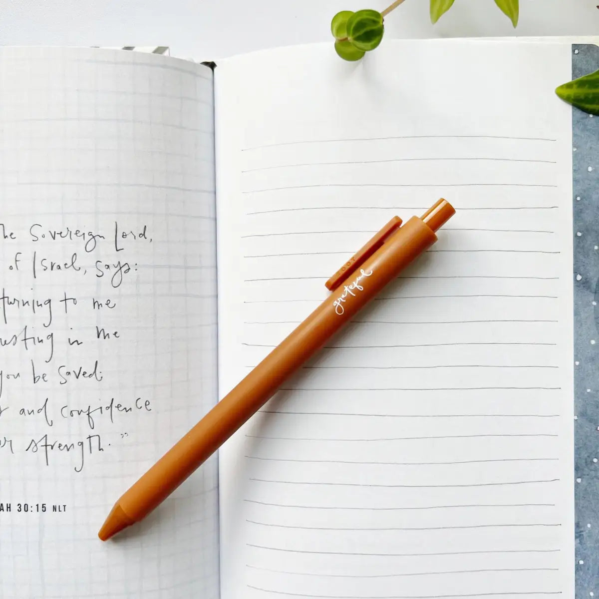 Jotter Gel Pen - assorted colors and sayings - emily lex studio