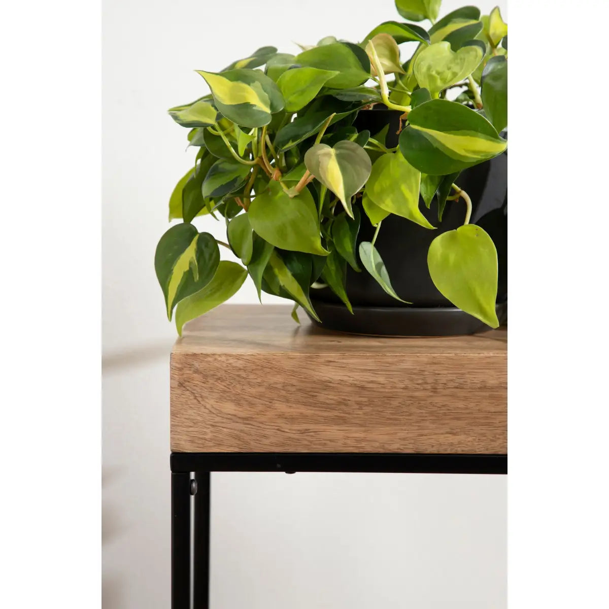 Karlsen Wood and Metal Slim Side Table - kateandlaurel