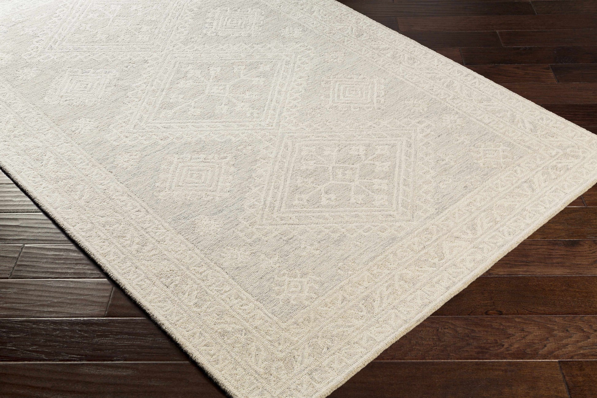 Light Gray Traditional Area Rug - Boutique Rugs