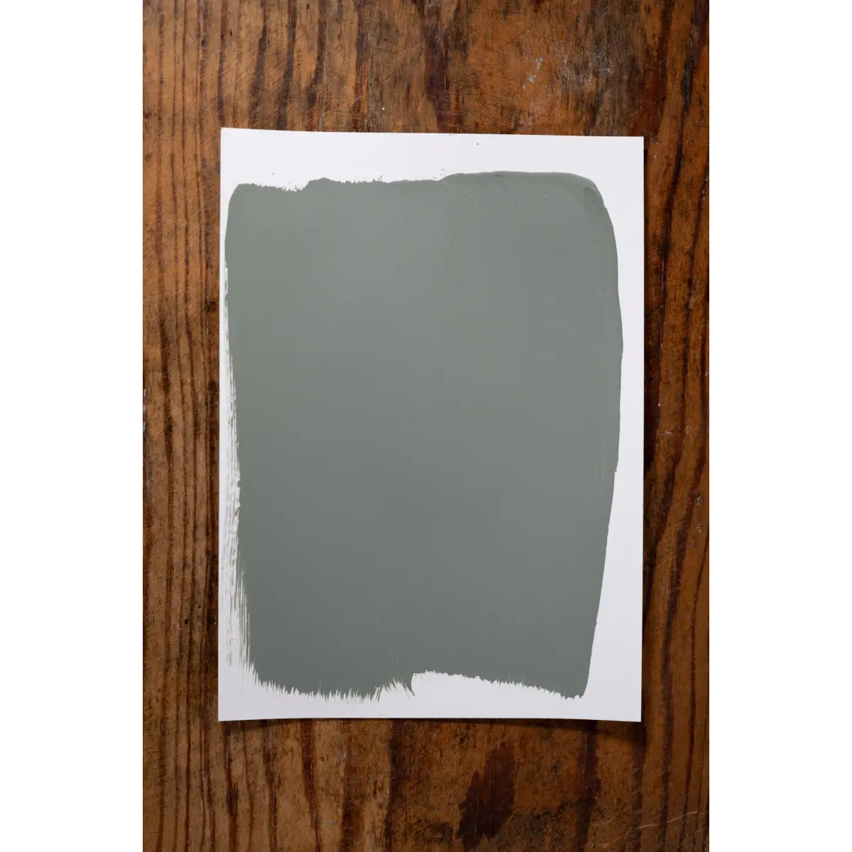 Lakeside Cabin - Manor Borne Wall Paint - Amy Howard At Home
