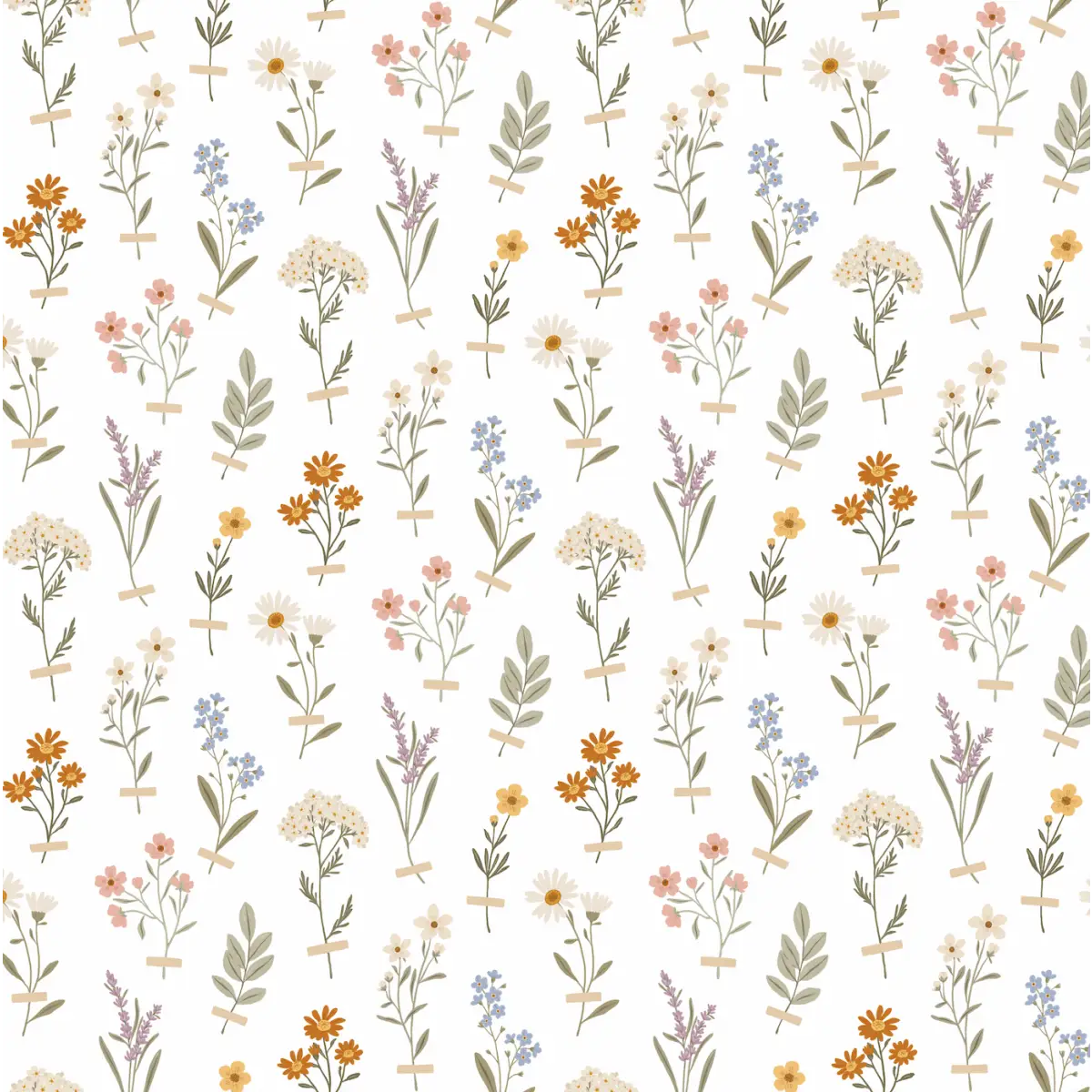Laurence Wallpaper - Taped Botanicals - by Joannie Houle - Sample 1 foot by 1 foot - Loomwell Home Goods