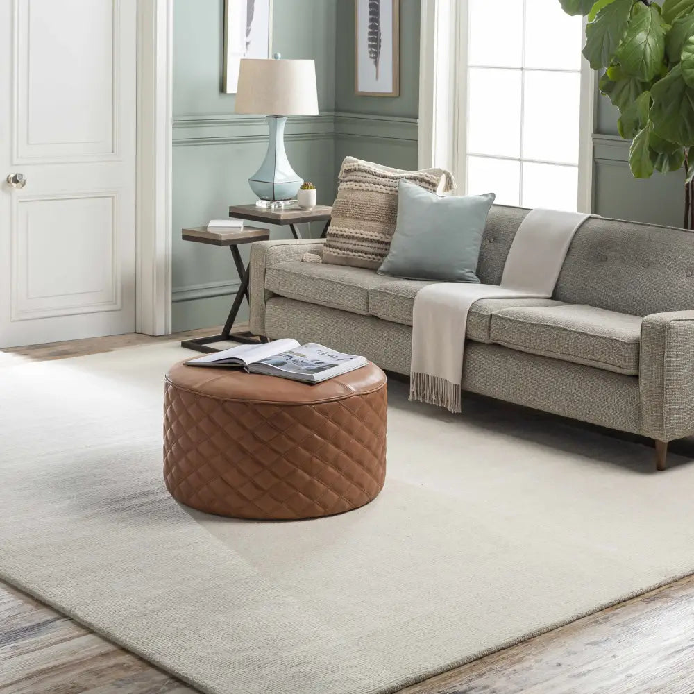 Light Beige Wool Area Rug - Boutique Rugs