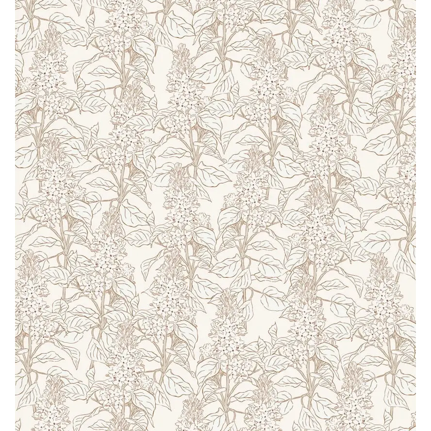 Lilac Wallpaper - Lilac Flower Line Drawings - by Brittany Polatis Design - Sample 1 foot by 1 foot / Cream - Loomwell
