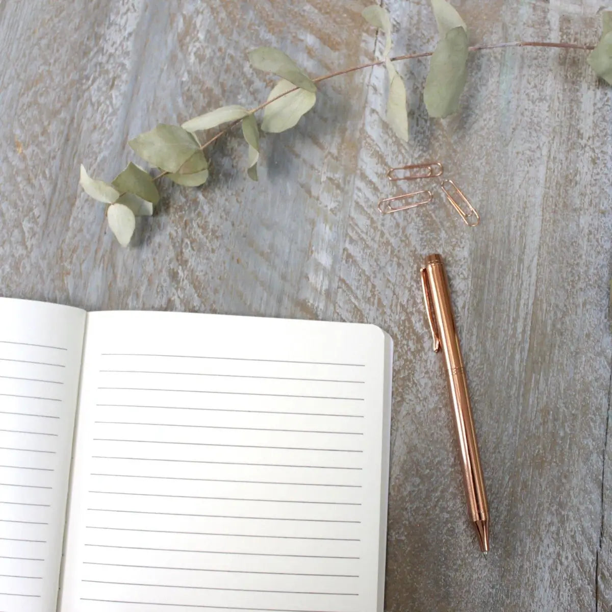 Lined Notebook - Robin & Eucalyptus - Toasted Crumpet (US Duties Paid)