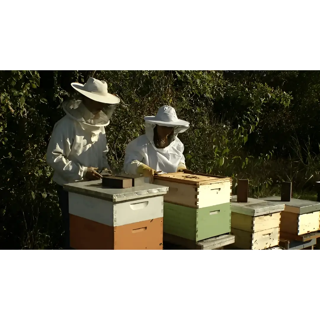 Lip Balm - Earl Grey Tea - Handmade with Beeswax - Messner Bee Farm