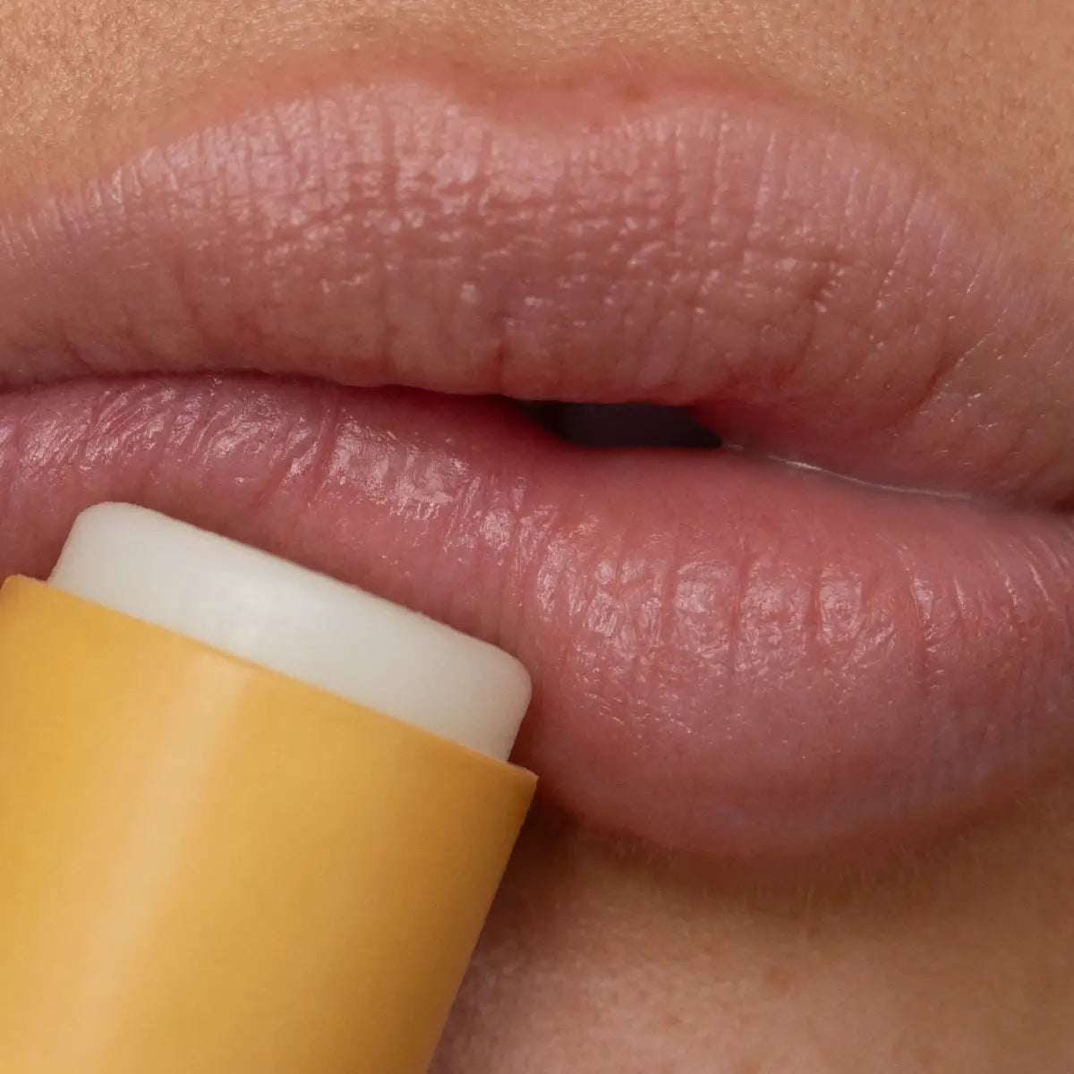 Lip Balm - Wild Honey - Poppy & Pout