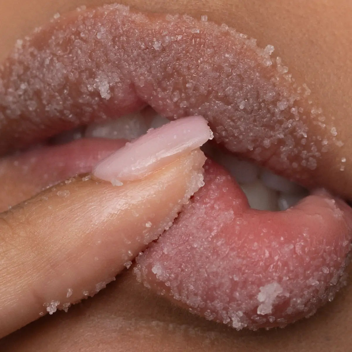 Lip Scrub - Wild Honey - Poppy & Pout