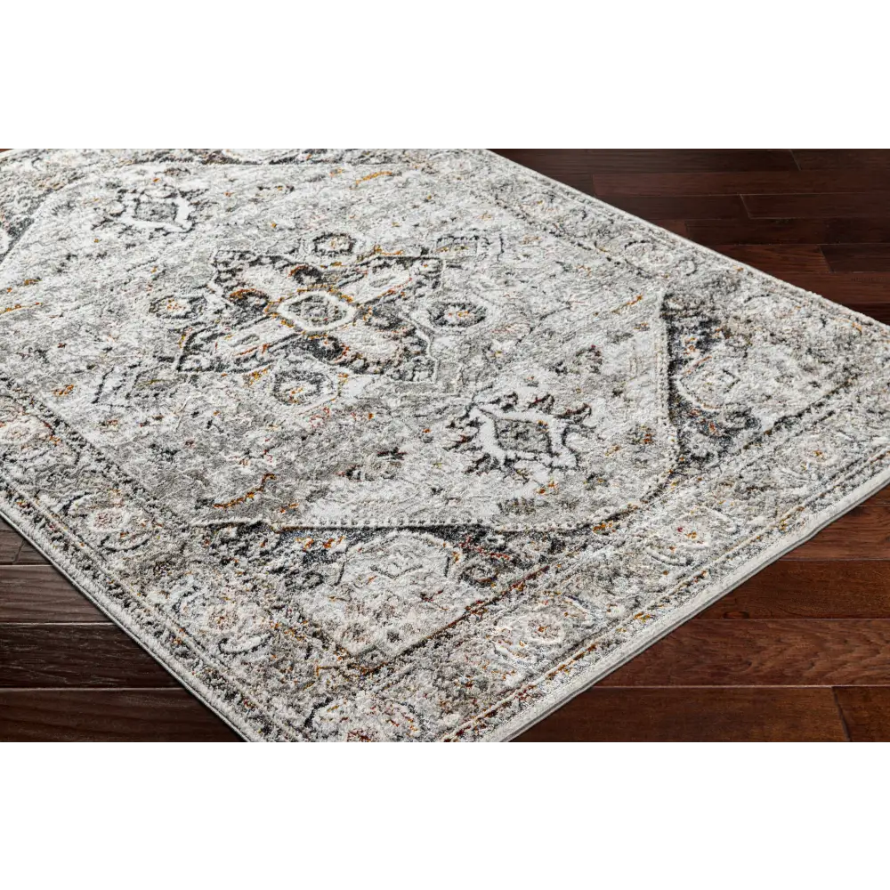 Liverpool Dark Gray Area Rug - Clearance - Boutique Rugs