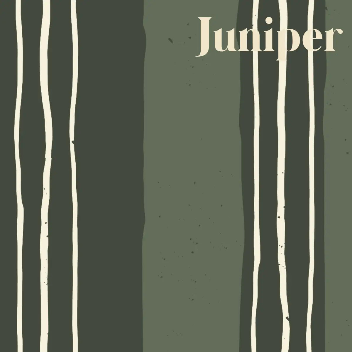 Lodge Wallpaper - Hand Drawn Stripes - by Cassandra Zaniboni - Sample 1 foot by 1 foot / Juniper - Loomwell Home Goods