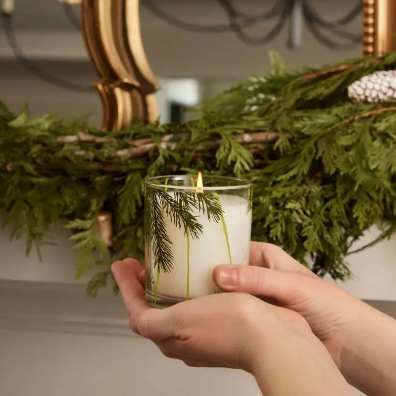 Luxury Candle in Pine Needle Glass - Frasier Fir - THYMES