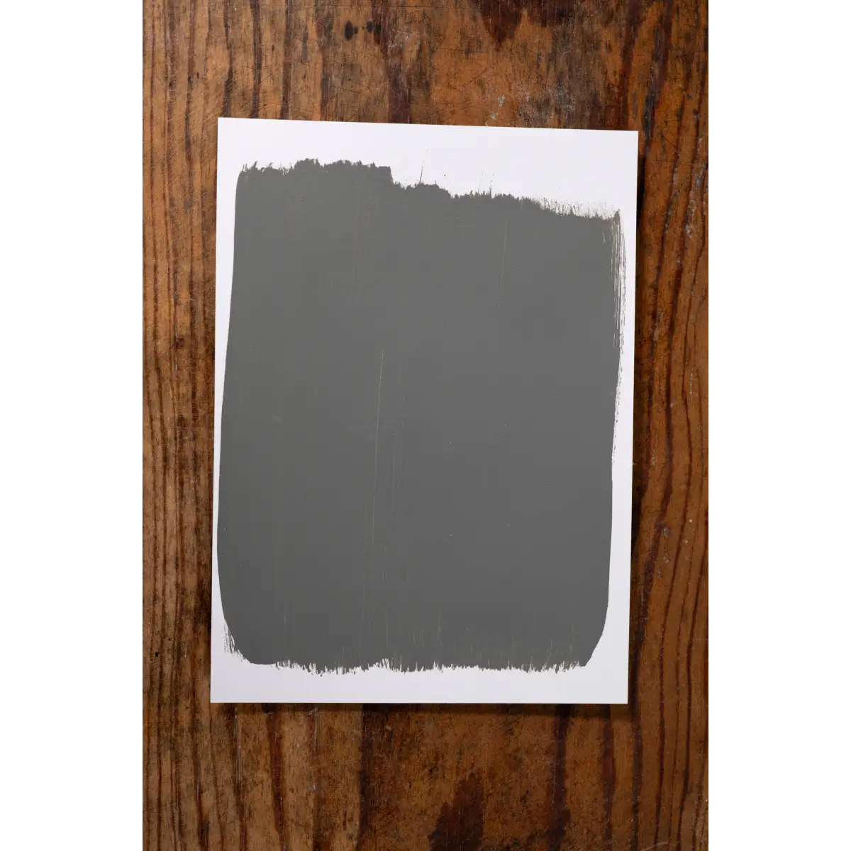 Magnolia Mornings - Manor Borne Wall Paint - Amy Howard At Home