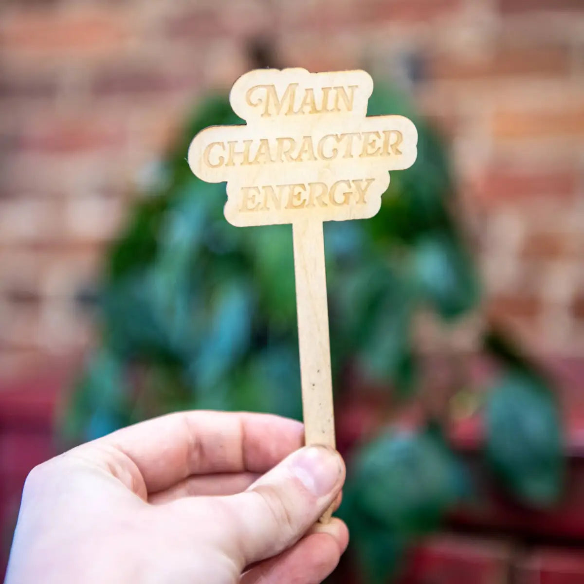 Houseplant Stake - Main Character Energy - Bookish - Still Magnolia