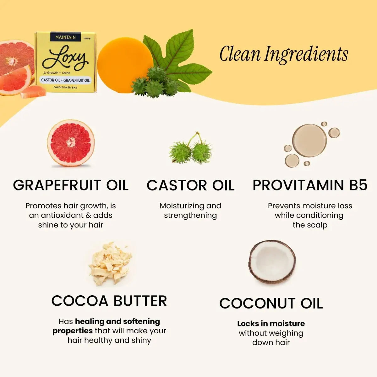 Conditioner Bar - MAINTAIN for Growth and Shine - Loxy