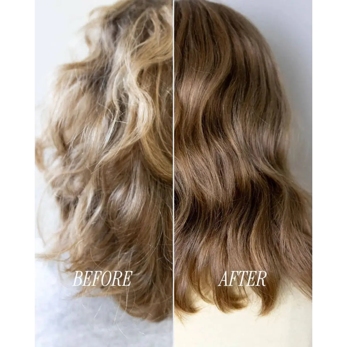 Shampoo Bar - Maintain - Growth & Shine - Loxy