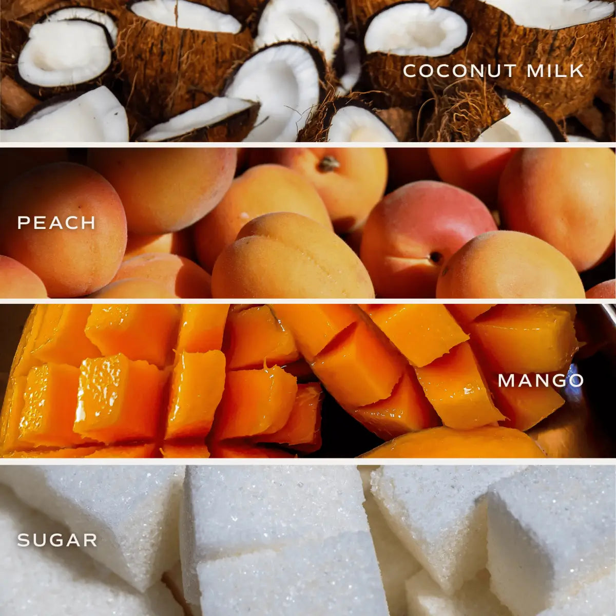 Mango and Coconut Tinted Glass Jar Reed Diffuser - Sweet Water Decor