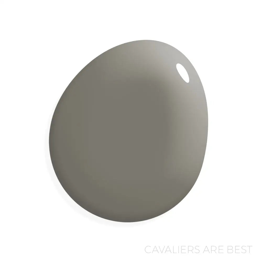 Manor Borne Wall Paint Bundle - Cavaliers are Best - Amy Howard At Home