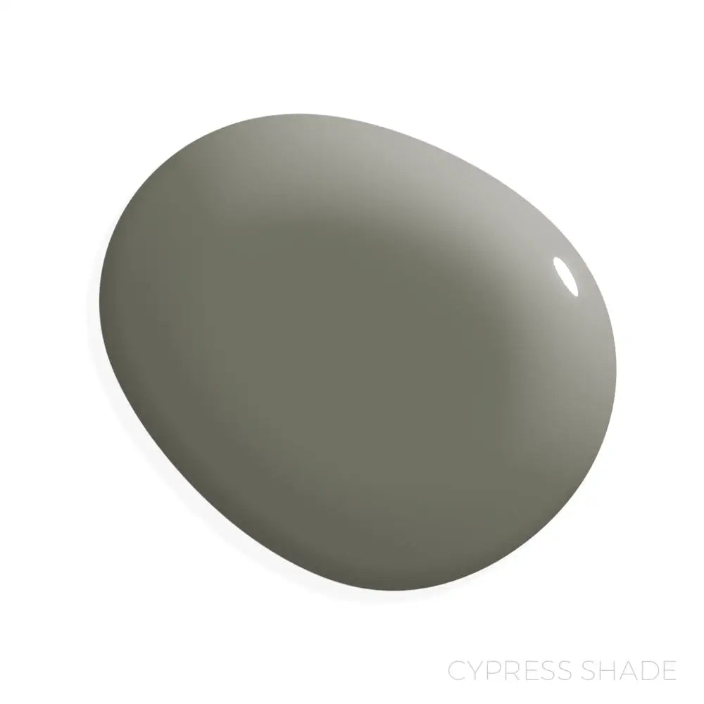 Manor Borne Wall Paint Bundle - Cypress Shade - Amy Howard At Home