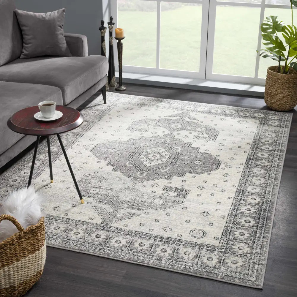 Marash 4605 Gray Area Carpet - Clearance - Boutique Rugs