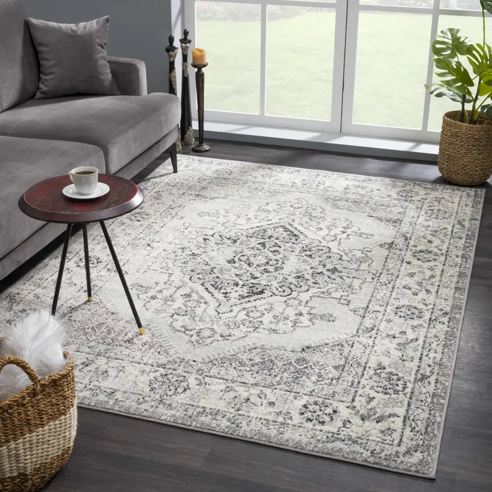 Marash KMRSH-4615 Area Rug - Clearance - Boutique Rugs