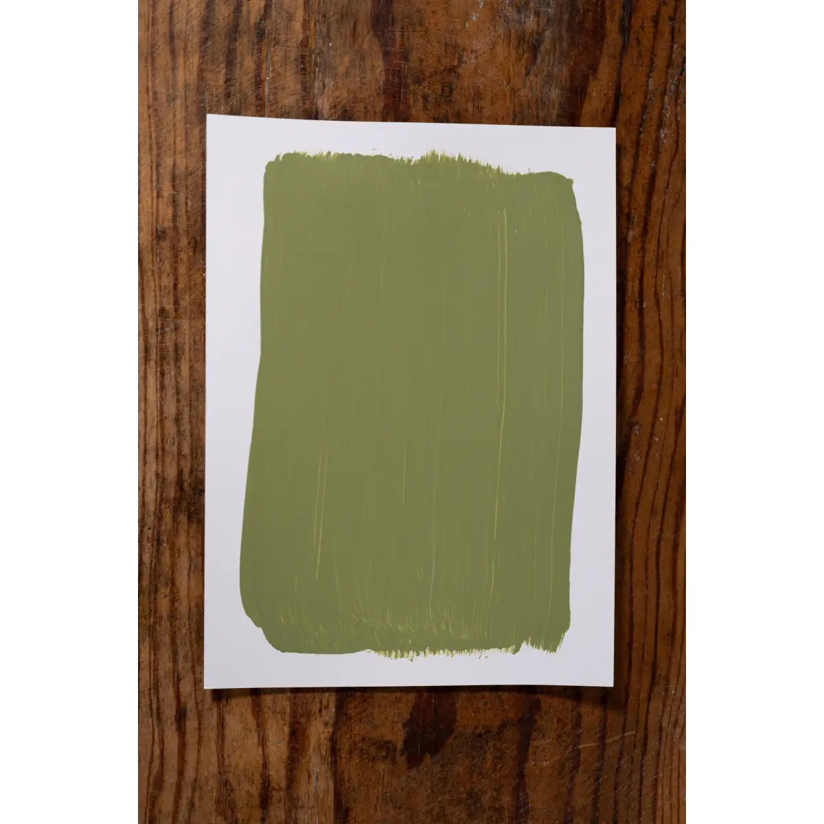 Mary’s Garden - Manor Borne Wall Paint - Amy Howard At Home