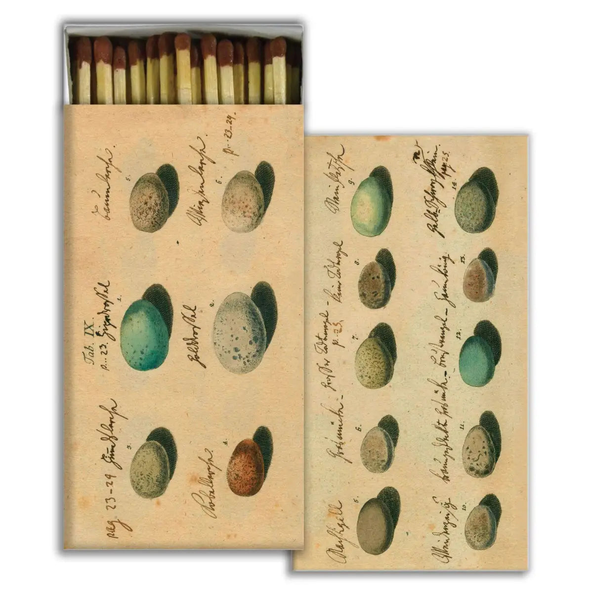 Matches in Decorative Box - Bird Eggs - HomArt