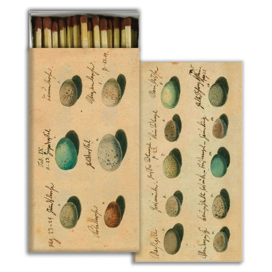 Matches in Decorative Box - Bird Eggs - HomArt