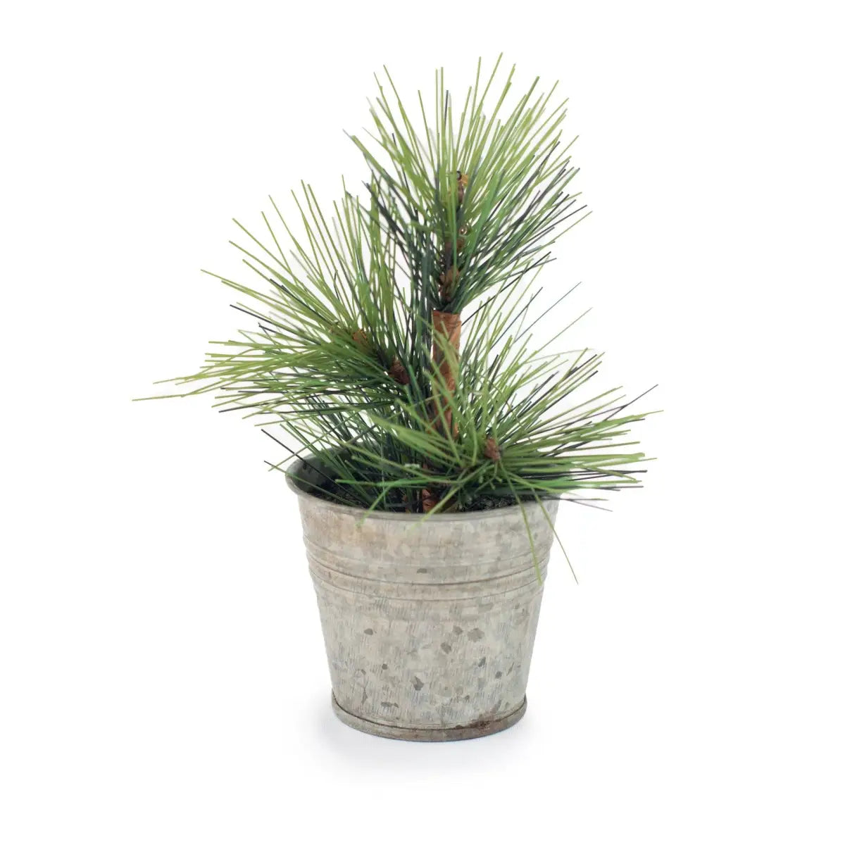 Mini Pine Tree in Tin Pot - Sugarboo &